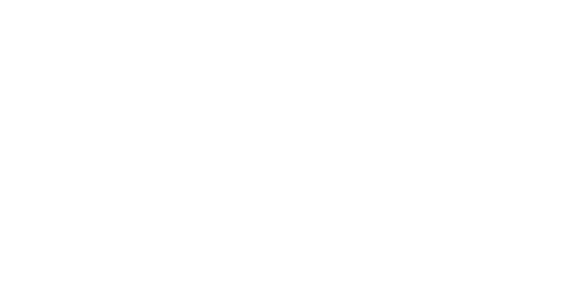 Ford logotipas